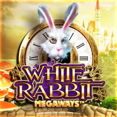 White Rabbit hos Casinostugan